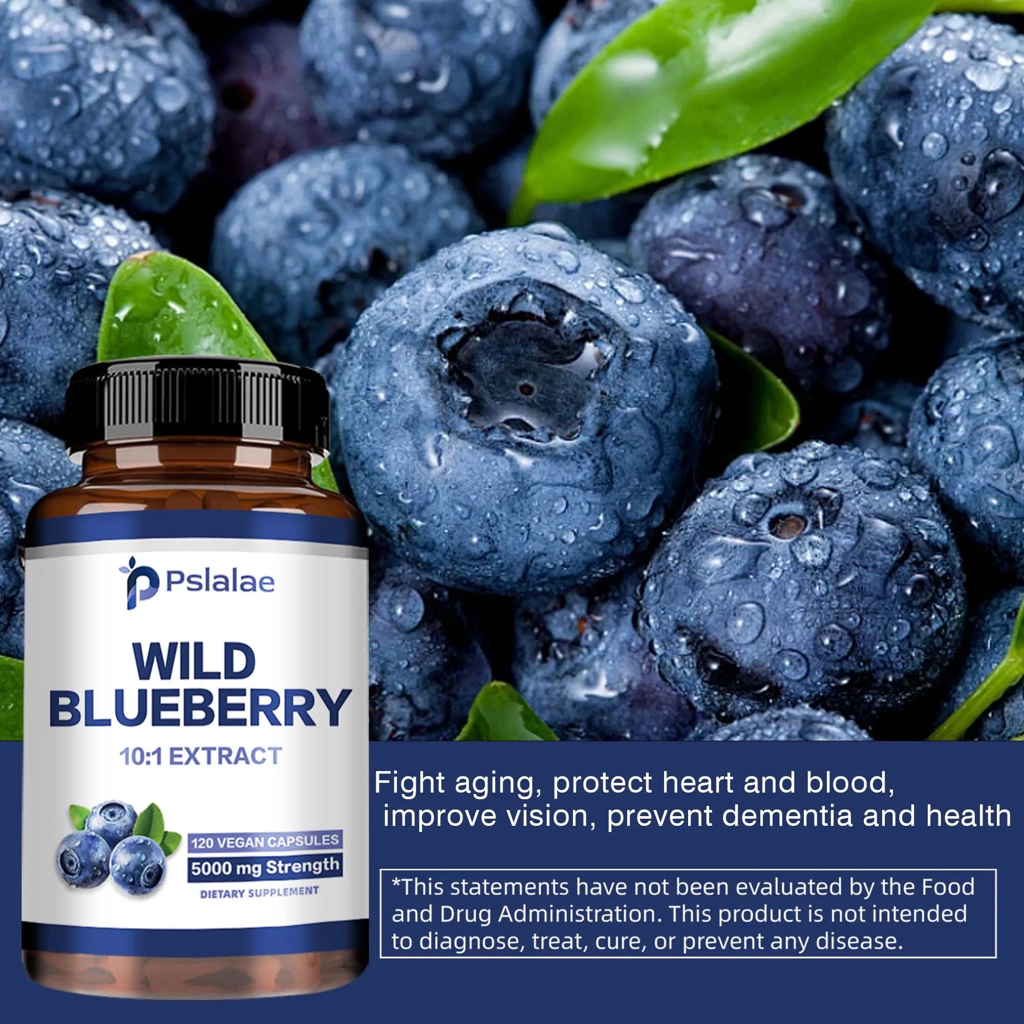 Natural Wild Blueberries - Improve Immunity, Vision Support, Antioxidant Support, Healthy Aging - 120 Capsules