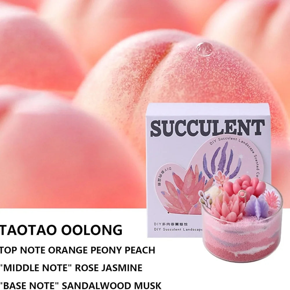 Candle Kit–Succulents DIY Handmade Scented Candles Can Used To Make Candles Scented–Great For Beginner,Child Christmas Gifts