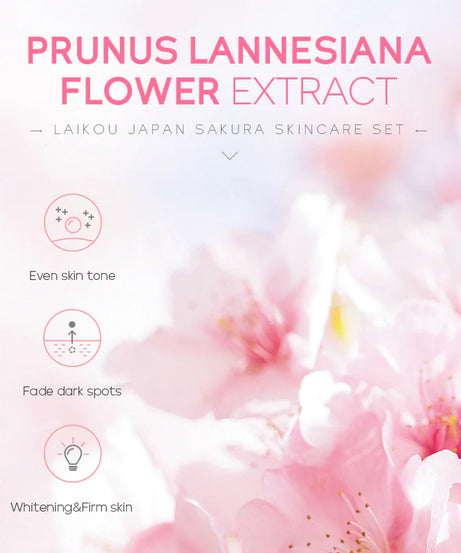 Moisturizing Face Cream Skin Care Kit